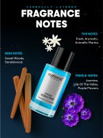 Seductive Perfume for Men & Women - Image 5