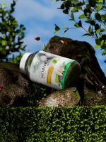 Pure Leaf Moringa Granules With Pineapple Flavour - Image 3